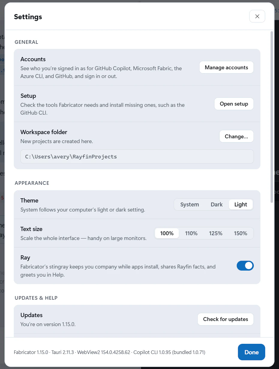 The Settings dialog: Accounts, Setup and Workspace folder under General, then Theme, Text size and Ray under Appearance, and Updates.