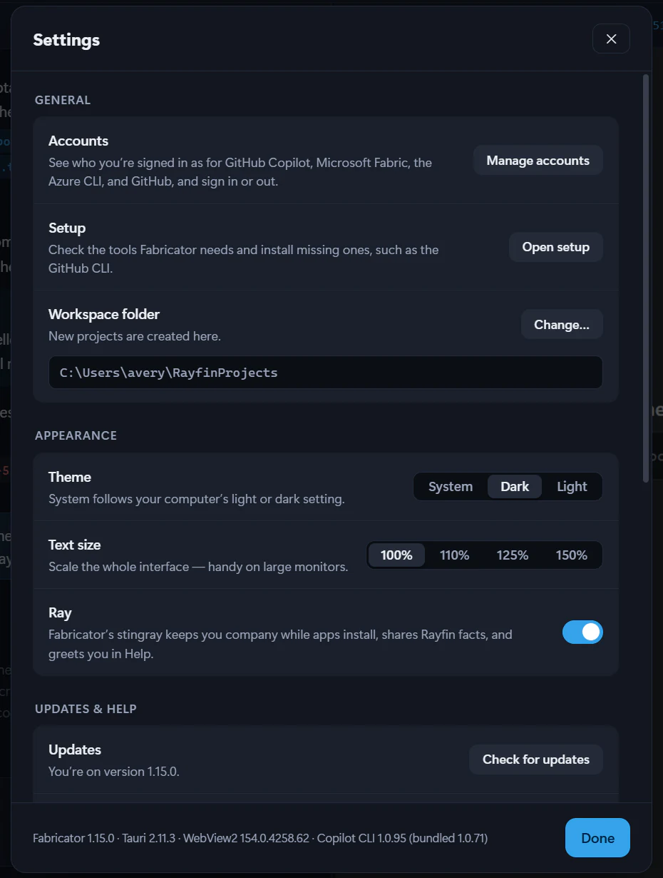 The Settings dialog: Accounts, Setup and Workspace folder under General, then Theme, Text size and Ray under Appearance, and Updates.